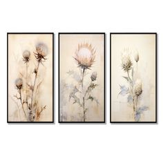 three paintings with flowers in them hanging on the wall