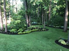 a lush green lawn surrounded by trees and bushes