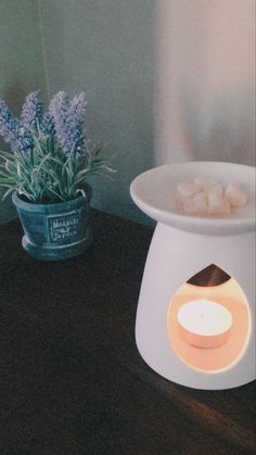 a small potted plant sitting on top of a table next to a lit candle