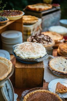 many pies and pie plates on a table