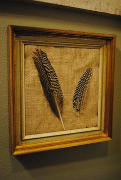 two feathers are displayed in a frame on the wall