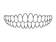 a black and white line drawing of teeth