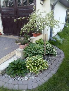 some plants are growing in the corner of a brick garden bed with gravel and rocks