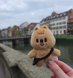 a person holding a small teddy bear in front of a body of water and buildings