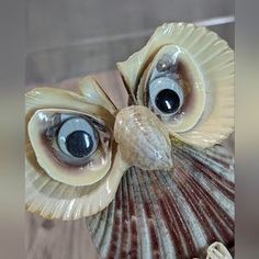 an owl figurine with big eyes on top of a shell