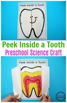 two pictures with the words peek inside a tooth preschool science craft