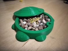 a green turtle shaped container filled with rocks