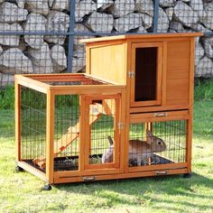 two rabbits in their cages on the grass