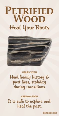 Petrified Wood Meaning, Energy Vibes, Crystal Magic