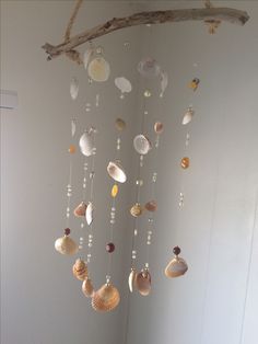 a wind chime with seashells hanging from it's sides in a room