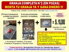 Granja Completa para Cuyes 10,000 Soles