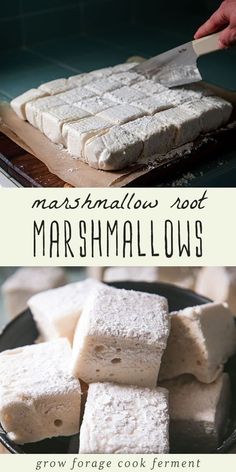 marshmallows cut into squares on a plate