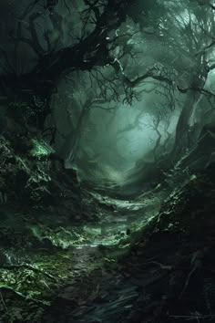 a path in the middle of a dark forest