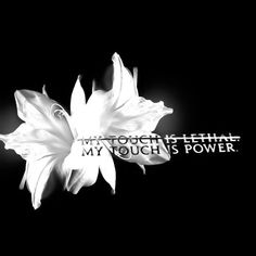 a white flower with the words my touch is power