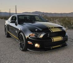 a black and gold mustang parked in the desert