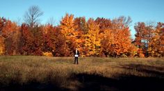 a man standing in the middle of a field surrounded by trees with orange and yellow leaves