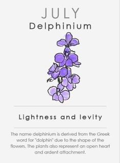 two cards with purple flowers on them and the words, july delphinium lightness and leviity