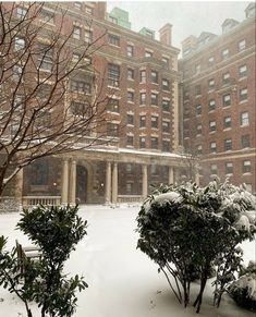 snow is falling on the ground and trees in front of a large building with many windows