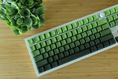 a computer keyboard sitting on top of a wooden table next to a potted plant