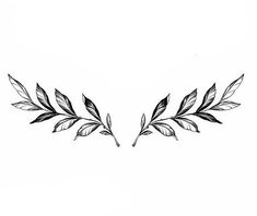 a drawing of two leaves on a white background