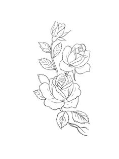 a black and white drawing of roses