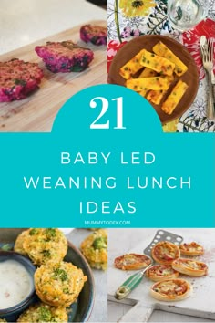 baby led weaning lunch ideas