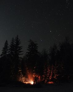 the night sky is filled with stars and trees