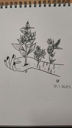 a drawing of a hand holding some plants