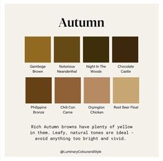 an autumn color scheme with the names and colors in each section, including brown, red,