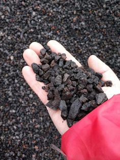 a person holding out their hand full of coal