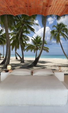 a bed sitting under palm trees on top of a sandy beach next to the ocean