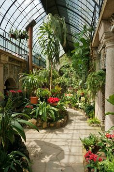 the inside of a greenhouse with lots of plants and flowers in pots on the walkway