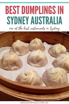 the best dumplings in sydney australia one of the best restaurant's in sydney