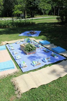 several picnic blankets are laid out on the grass in front of some trees and bushes