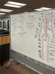 a white board with writing on it in an office cubicle, showing the human body and nervous system