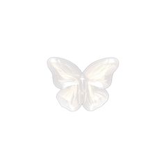 a white butterfly on a white background