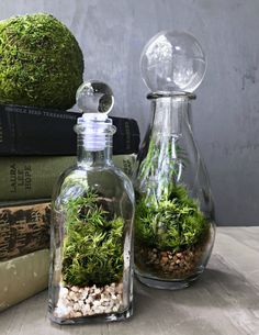 two glass vases filled with moss and rocks on top of books next to each other