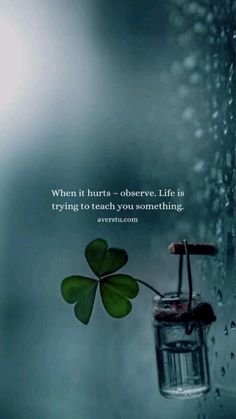 a four leaf clover in a glass jar with water on the window sill and an inspirational quote about st patrick's day