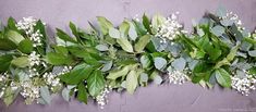 some green leaves and white flowers on a purple wall