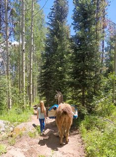 two people walking down a dirt road with an animal on it's back and trees in the background