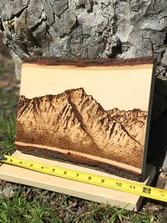 a wooden plaque with mountains on it next to a measuring tape and tree trunk in the grass