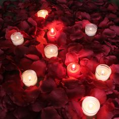 several lit candles are placed in the middle of a bed of red flowers and petals