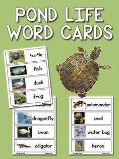 the pond life word cards with pictures of animals