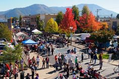 a crowd of people standing around in the middle of a street with tents and trees