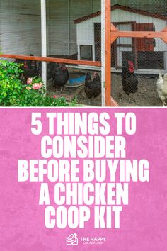 First-Time Buyer’s Guide to Chicken Coop Kits | The Happy Chicken Coop