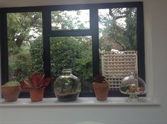 a window sill filled with pots and plants