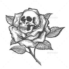 a black and white rose with a skull in the middle - flowers & plants nature