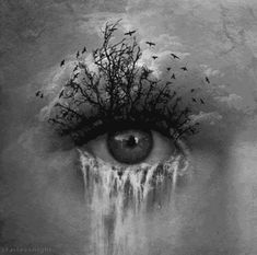 an eye with trees growing out of it and birds flying over the water in the background