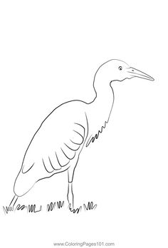 a black and white drawing of a bird with long legs, standing in the grass