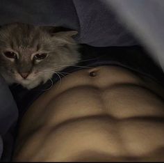 a cat is peeking out from under the covers of a man's stomach,